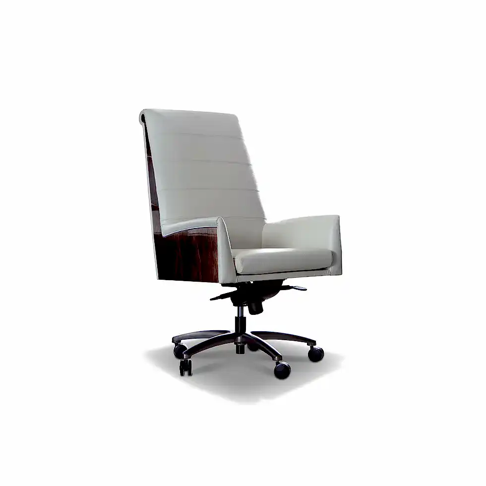 Coliseum Executive Ofis Sandalyesi